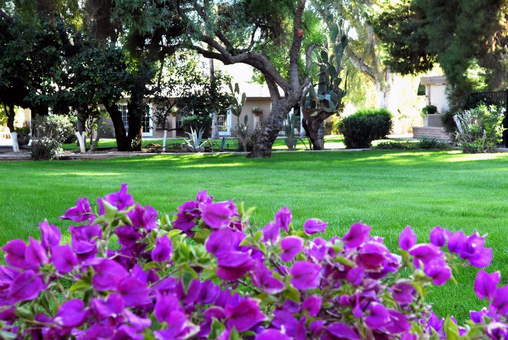 Smoketree Resort And Bungalows Scottsdale Exteriér fotografie